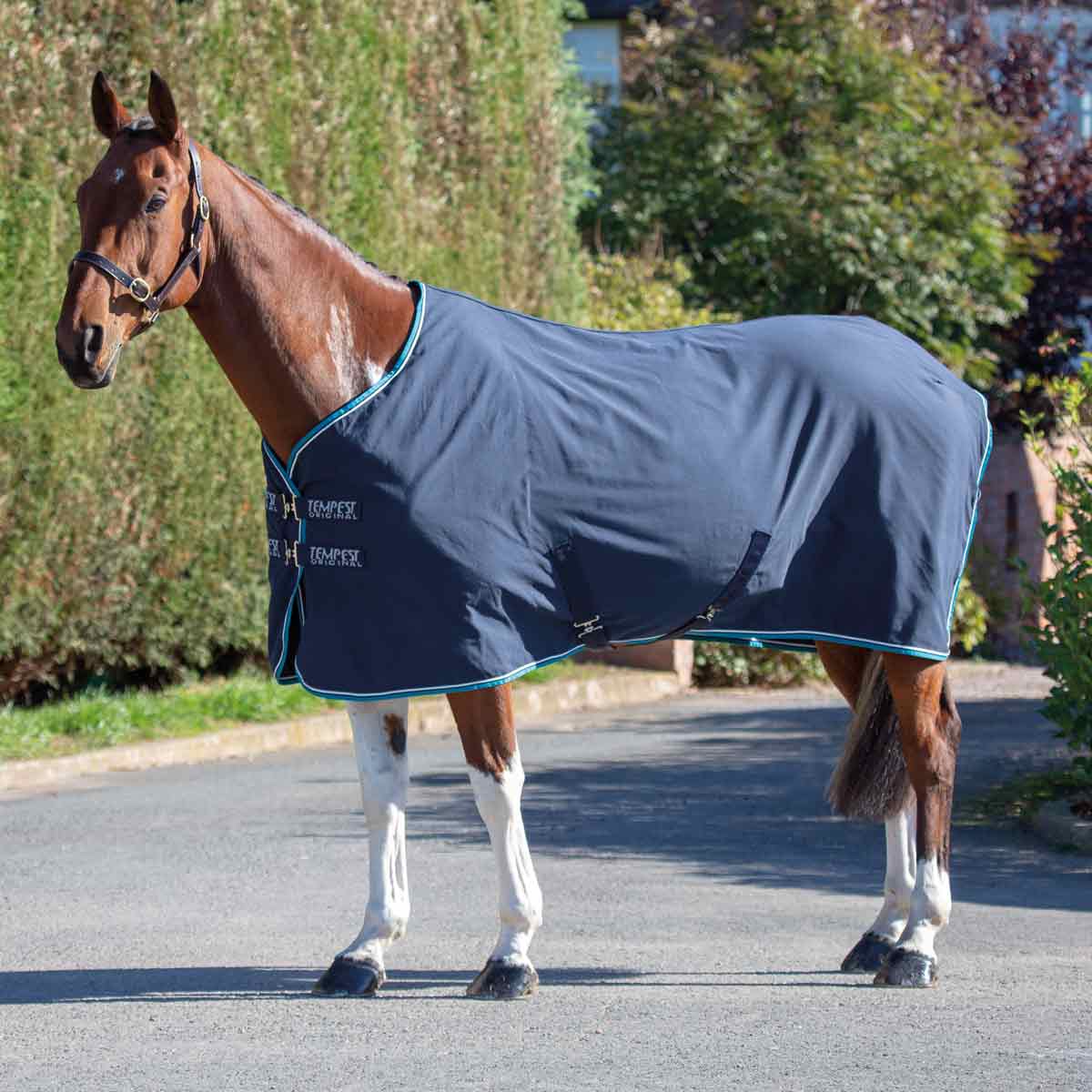 Shires Stable Sheet