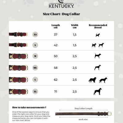 Kentucky Plaited Nylon Dog Collar - Equine Designs