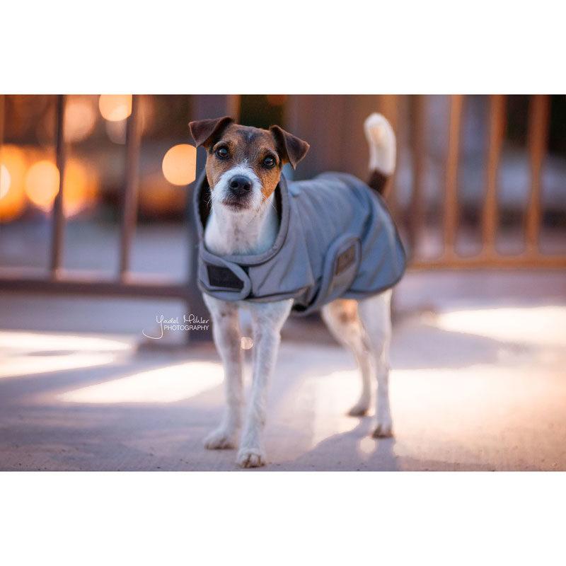 Kentucky Reflective Dog Coat - Equine Designs