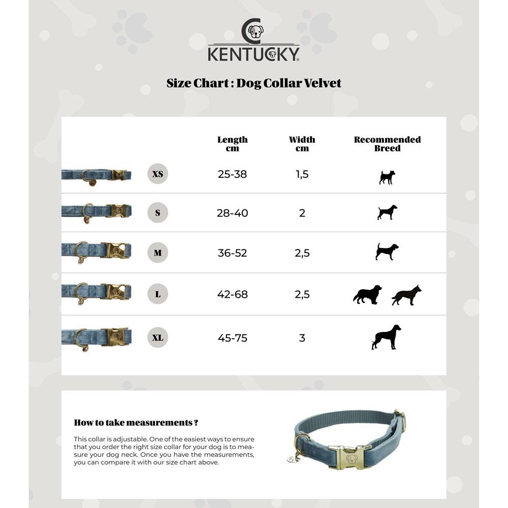Kentucky Velvet Dog Collar - Equine Designs