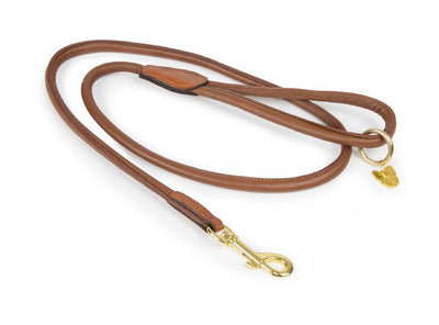 Rolled Leather Dog Lead
