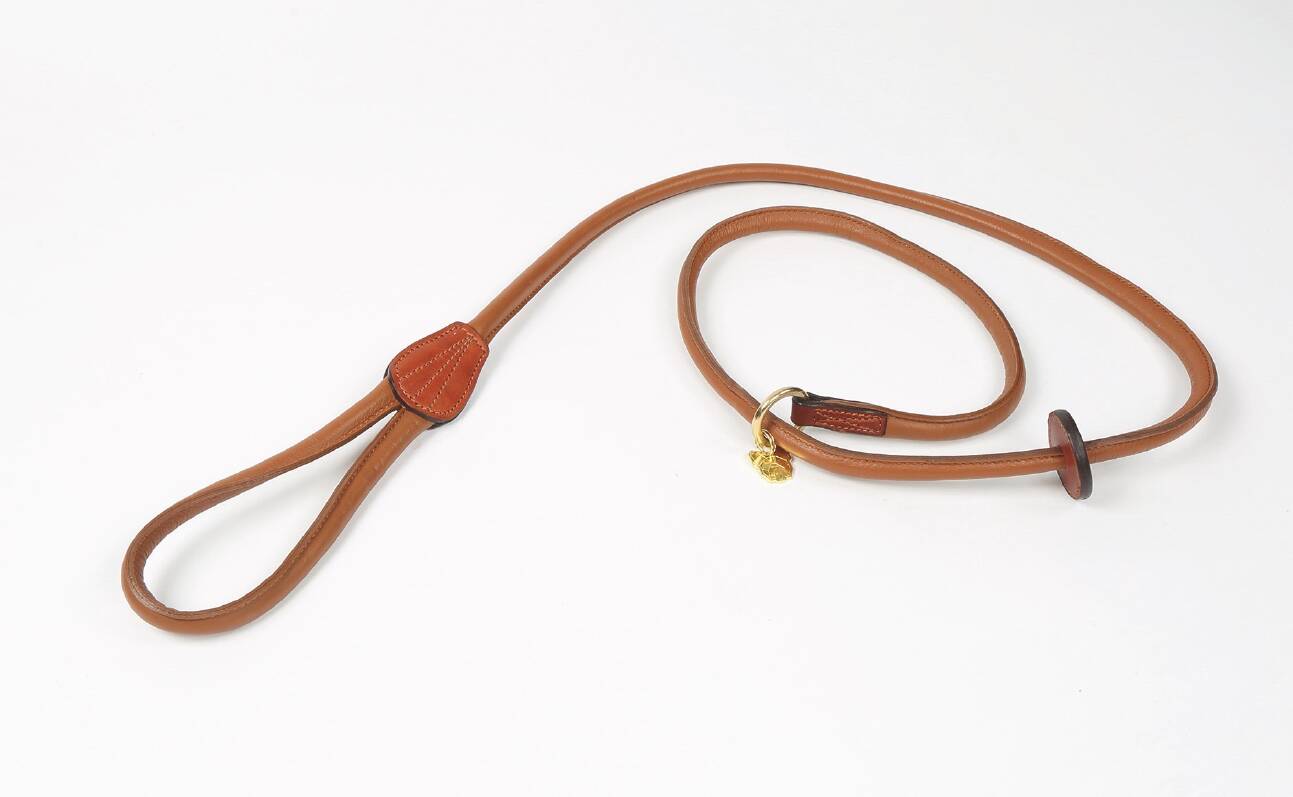 Rolled Leather Slip Dog Lead